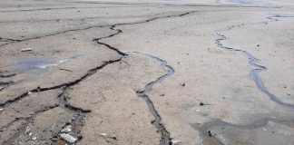 Războiul a afectat grav Parcul Național Kamenskaya Sich din Ucraina. Consecințe de mediu