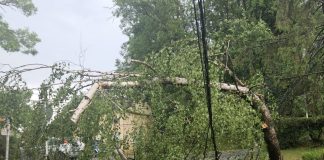 Zona de munte a Vrancei, sub avertizare Cod Portocaliu de vijelii și grindină