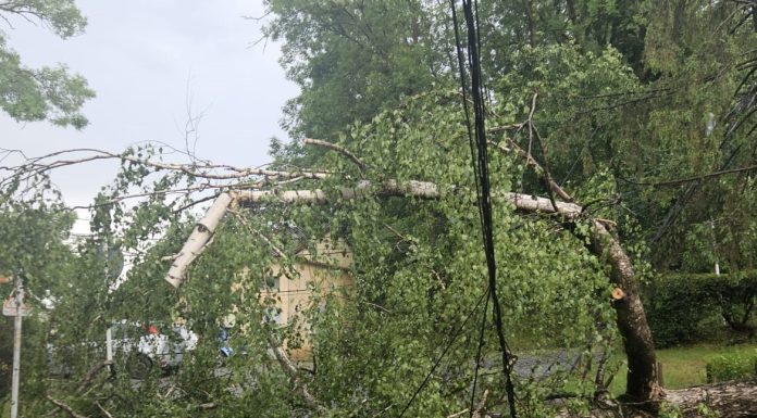 Zona de munte a Vrancei, sub avertizare Cod Portocaliu de vijelii și grindină
