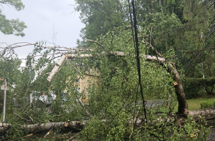 Zona de munte a Vrancei, sub avertizare Cod Portocaliu de vijelii și grindină