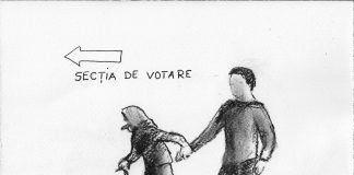 Alegerile și democrația: de ce nu votează românii?