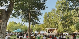 Concerte și discotecă în aer liber, în iulie, la Zaga Zaga