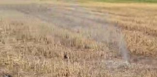 ULTIMA ORĂ Scurgeri de gaze pe câmp, după Adjud