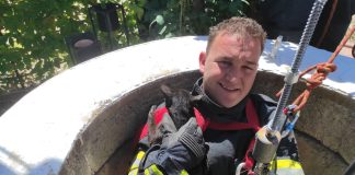 FOTO: Pisică salvată de pompieri, după ce a căzut într-o fântână, la Petrești