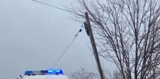 Două mașini s-au ciocnit pe raza comunei Homocea