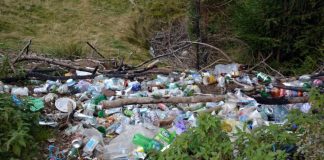 Poluarea la bani mărunți. Cât preț pun primarii din Bihor pe protecția mediului înconjurător