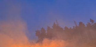 Garda Forestieră, avertisment cu privire la incendiile de pădure