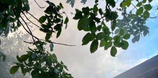 Proprietarul unei case cuprinse de flăcări a suferit o intoxicație cu fum și atac de panică / Incendiul de la Gologanu nu a fost, încă, lichidat
