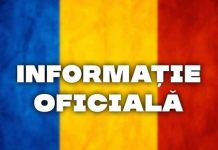 Ministerul Apărării confirmă găsirea unor fragmente de dronă în Vrancea