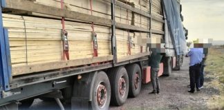 Controale în sectorul silvic, soldate cu amenzi și confiscări de material lemnos