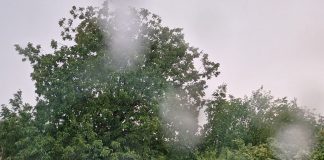 ULTIMA ORĂ Ciclonul Barbara va lovi România / Cod roșu de ploi în sud-estul țării