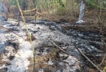 Alertă în Vrancea și Galați / Mesaje Ro-Alert pentru ca populația să se adăpostească