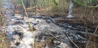 Alertă în Vrancea și Galați / Mesaje Ro-Alert pentru ca populația să se adăpostească