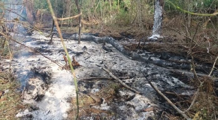 Alertă în Vrancea și Galați / Mesaje Ro-Alert pentru ca populația să se adăpostească