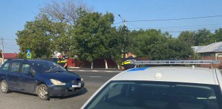 Acțiuni în trafic și pentru menținerea ordinii publice / Amenzi, ridicări de permise și certificate