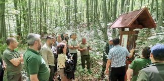 FOTO Proiectul de conservare a insectelor saproxilice din Munții Vrancea, prezentat conducerii Romsilva