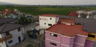 Tranzacție importantă în industria viti-vinicolă vrânceană: Tenuta Odobești, preluată de o mare companie națională