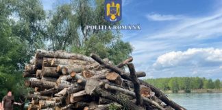 Garda Forestieră Focșani, control în Tulcea: două barje cu lemne fără documente, identificate pe Dunăre