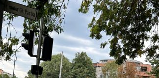 FOTO Copac căzut la intersecția Cuza-Vodă cu Mr. Gh. Pastia