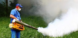 Dezinsecție în tot municipiul Focșani între 11 și 13 iunie