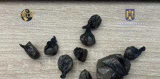 FOTO Percheziții într-un dosar de trafic de droguri / Două persoane reținute