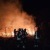 incendiu grecia 2