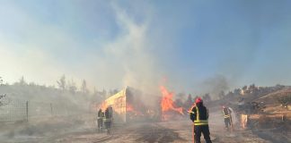 FOTO Pompierii români, în lupta cu incendiile masive de vegetație din Grecia
