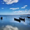 lac