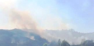 Peste 100 de hectare de lăstăriș, în flăcări la Gura Caliței