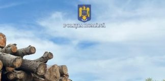 Peste 700 de metri cubi de lemne, confiscați de la trei depozite