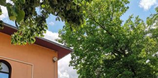 Zi de sărbătoare la Măicănești