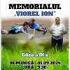 memorial viorel ion