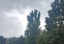 Meteo: cod galben de vânt și ploi / În zonele înalte se așteaptă viscol