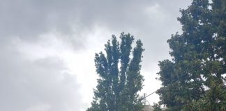 Meteo: cod galben de vânt și ploi / În zonele înalte se așteaptă viscol