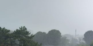 Vremea rece revine, cu ploi, vănt și ninsori