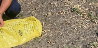 FOTO Musafir nepoftit: jandarmii au preluat un șarpe dintr-o gospodărie din Jorăști