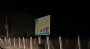 VIDEO Ursul a ajuns și pe la Țifești. Probabil îi era poftă de struguri