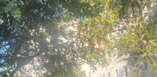O șoferiță neatentă a lovit 7 mașini în parcare