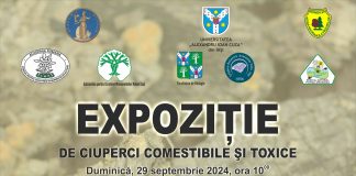 Expoziție cu specii de ciuperci comestibile şi toxice, la Lepșa
