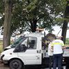 autoutilitara copac