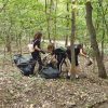 curatenie ecologie 4