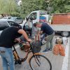 donatii viisoara