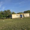 fotbal dumitresti 8