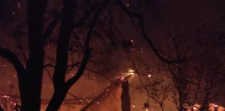 ULTIMA ORĂ Incendiu la o cramă din Cânpineanca