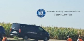 ULTIMA ORĂ 190 de muncitori fără forme legale depistați pe șantierul Autostrăzii Moldova, în județul Buzău