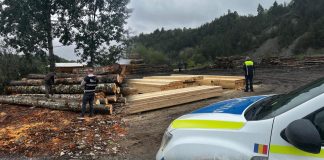 20 de mașini cu lemne controlate, 19 amenzi aplicate