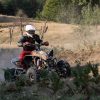 quad 1