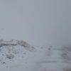 zapada transalpina 3