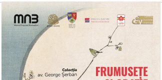 Muzeul Vrancei va găzdui o expoziție inedită