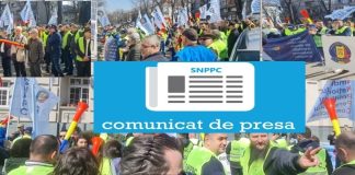 Sindicatul Polițiștilor va participa la protestele rezerviștilor militari din 25 octombrie